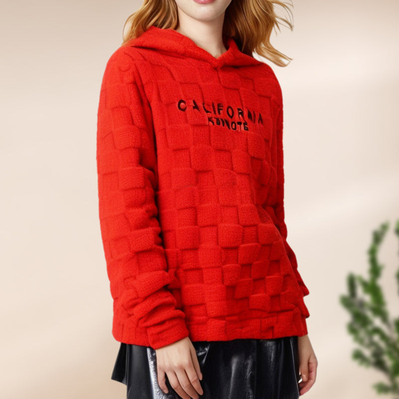 💥Limited-time 50% discount-Thick Loose Furry Hooded Sweatshirt